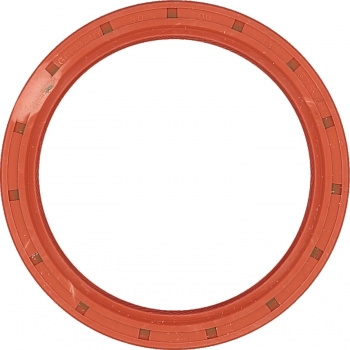 Engine Crankshaft Seal