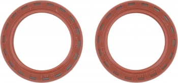 Engine Camshaft Seal