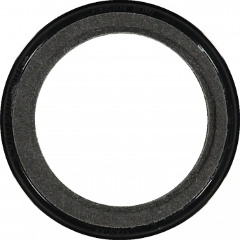 Engine Crankshaft Seal