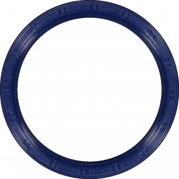 Engine Crankshaft Seal
