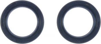 Engine Camshaft Seal