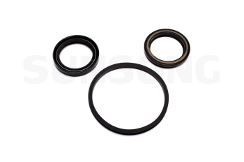 Steering Gear Pitman Shaft Seal Kit