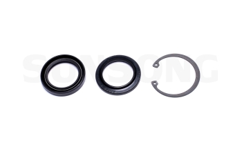 Steering Gear Pitman Shaft Seal Kit