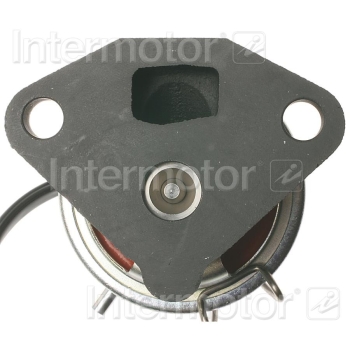 Exhaust Gas Recirculation (EGR) Valve