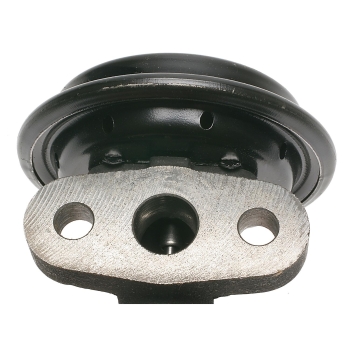 Exhaust Gas Recirculation (EGR) Valve