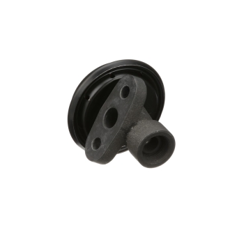 Exhaust Gas Recirculation (EGR) Valve
