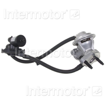 Exhaust Gas Recirculation (EGR) Valve