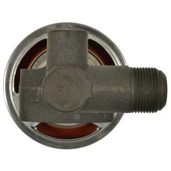 Exhaust Gas Recirculation (EGR) Valve