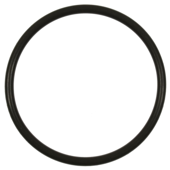 Fuel Pump O-Ring