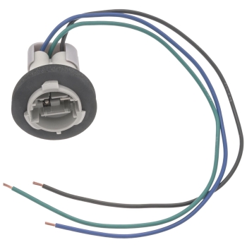 Back Up Light Socket