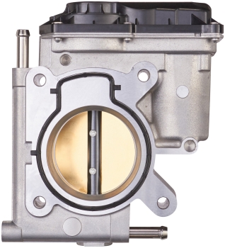 Fuel Injection Throttle Body Assembly