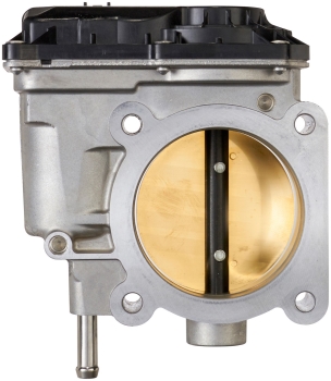 Fuel Injection Throttle Body Assembly