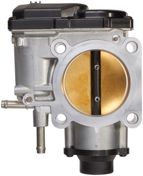 Fuel Injection Throttle Body Assembly