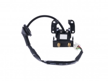 Park Assist Camera