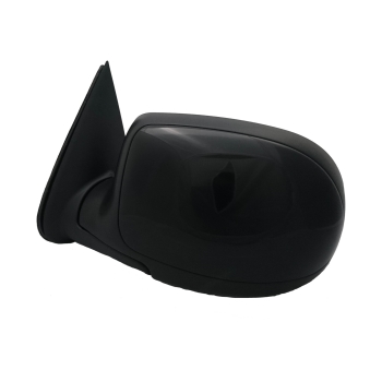 Door Mirror