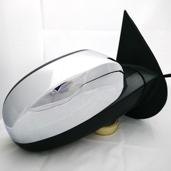 Door Mirror