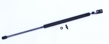 Liftgate Lift Support