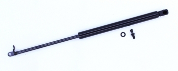 Trunk Lid Lift Support