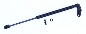 Liftgate Lift Support