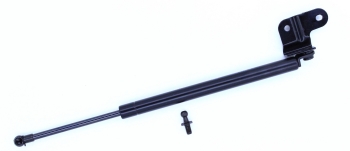 Hood Lift Support