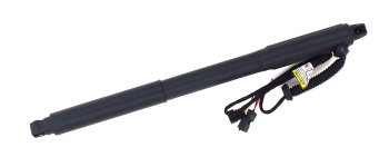 Liftgate Lift Support