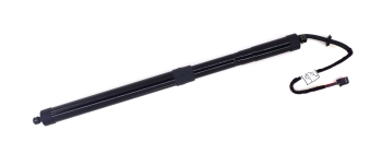 Liftgate Lift Support