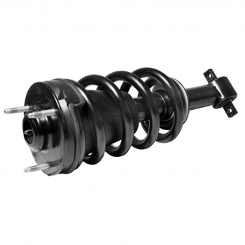 Suspension Strut and Coil Spring Assembly