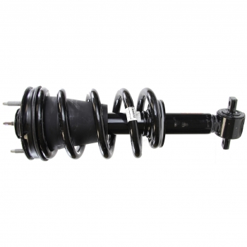Suspension Strut and Coil Spring Assembly