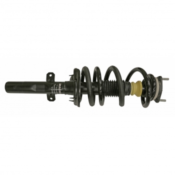 Suspension Strut and Coil Spring Assembly