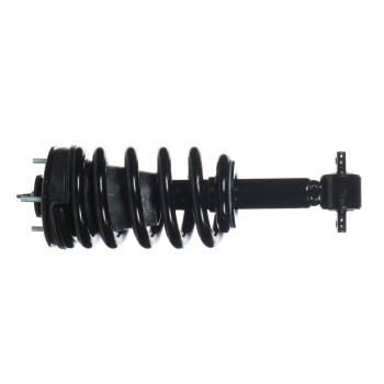 Suspension Strut and Coil Spring Assembly