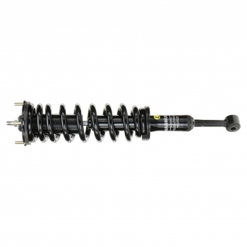 Suspension Strut and Coil Spring Assembly