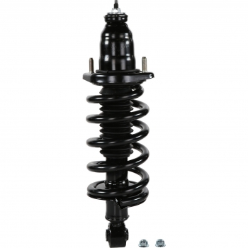 Suspension Strut and Coil Spring Assembly