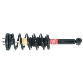 Suspension Strut and Coil Spring Assembly