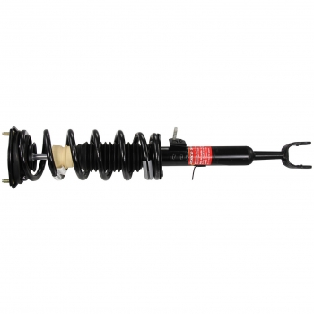 Suspension Strut and Coil Spring Assembly