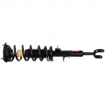 Suspension Strut and Coil Spring Assembly