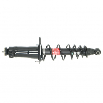 Suspension Strut and Coil Spring Assembly