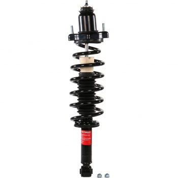 Suspension Strut and Coil Spring Assembly