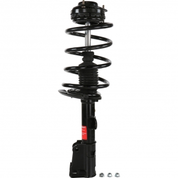 Suspension Strut and Coil Spring Assembly