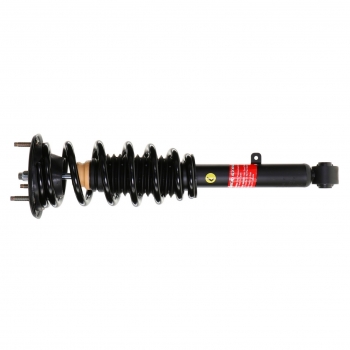 Suspension Strut and Coil Spring Assembly