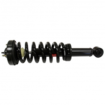 Suspension Strut and Coil Spring Assembly