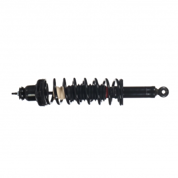 Suspension Strut and Coil Spring Assembly