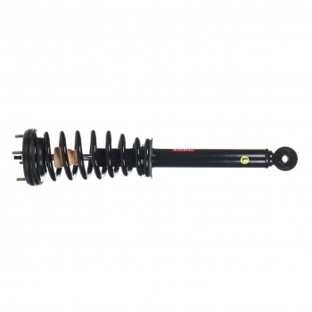 Suspension Strut and Coil Spring Assembly