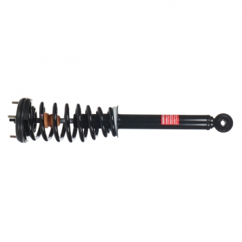 Suspension Strut and Coil Spring Assembly
