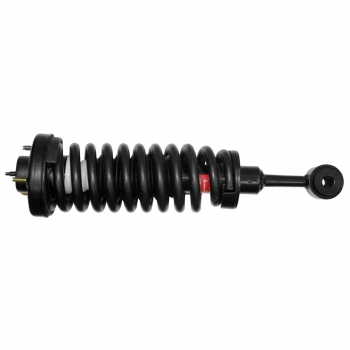 Suspension Strut and Coil Spring Assembly