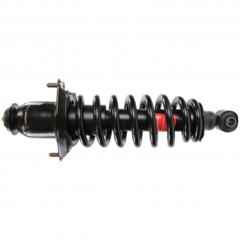Suspension Strut and Coil Spring Assembly