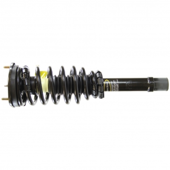 Suspension Strut and Coil Spring Assembly