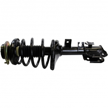 Suspension Strut and Coil Spring Assembly