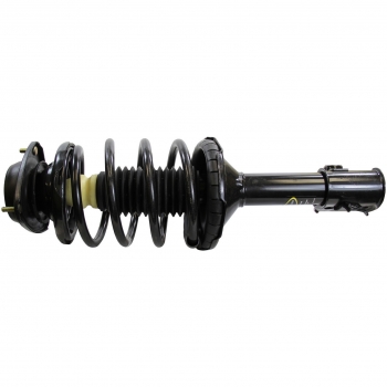 Suspension Strut and Coil Spring Assembly