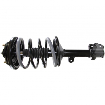 Suspension Strut and Coil Spring Assembly