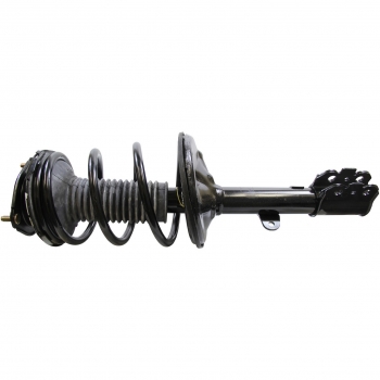 Suspension Strut and Coil Spring Assembly